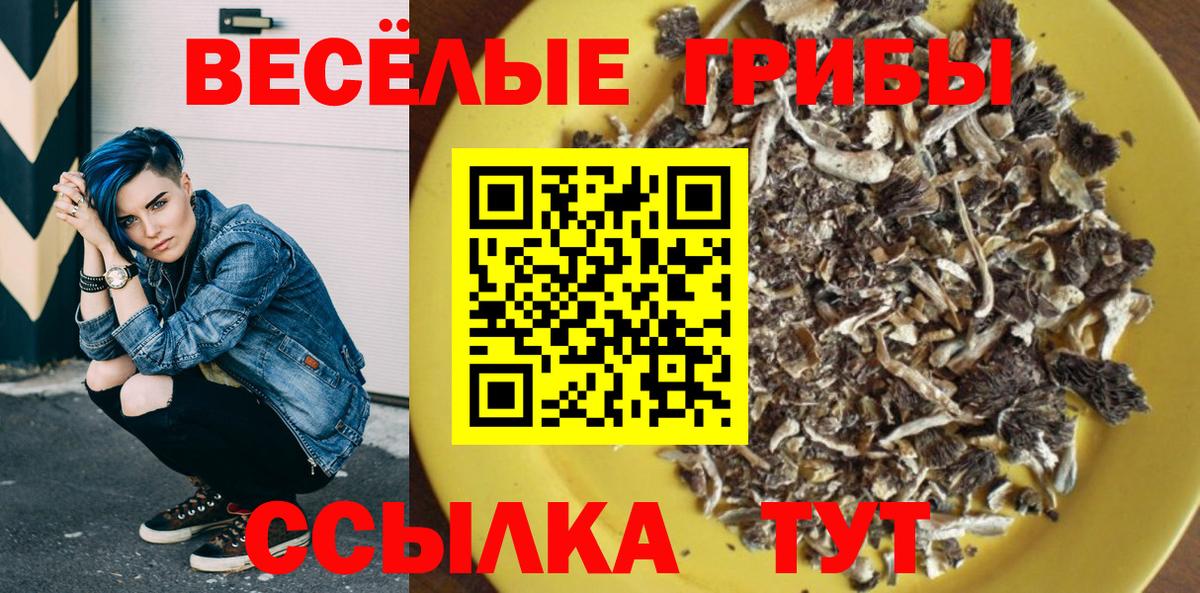 Галлюциногенные грибы ЛСД  Вход с VPN  Галлюциногенные грибы GOLDEN TEACHER  Шуя 