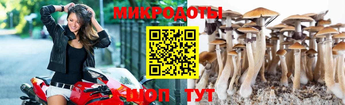 Псилоцибиновые грибы GOLDEN TEACHER Шуя